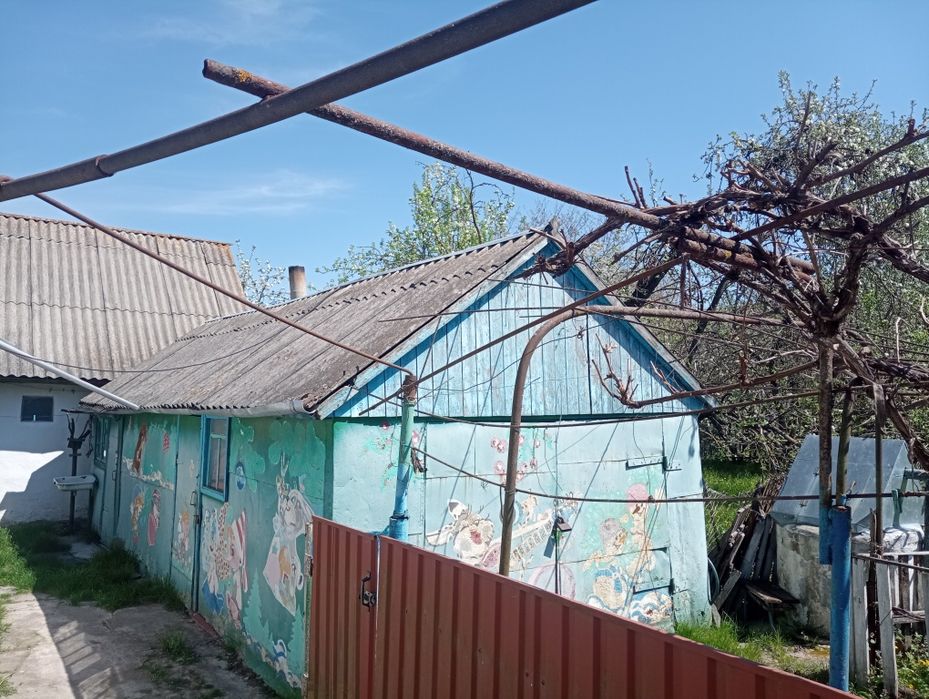 Продам будинок в селі Вишняківка