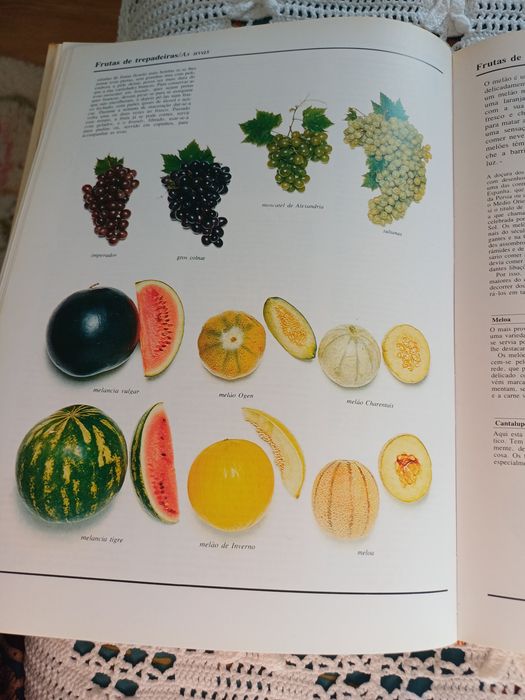 O grande livro ilustrado da culinária