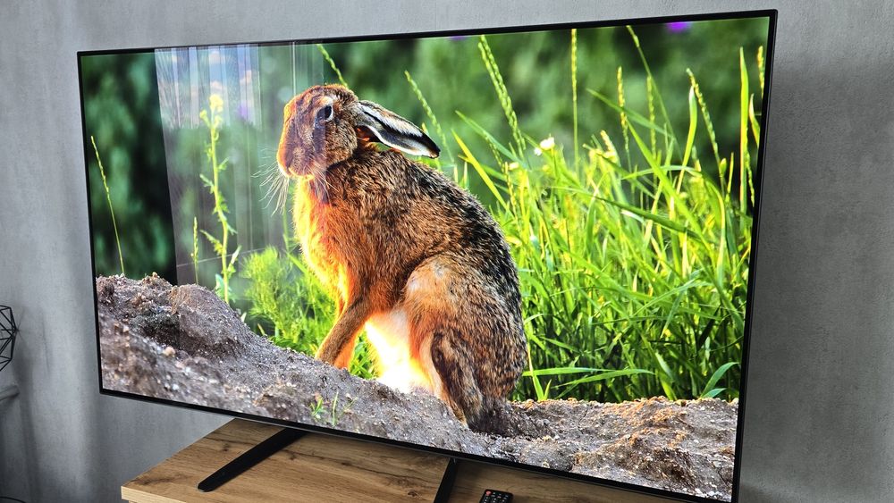 Telewizor OLED LG 55BX3LB po KALIBRACJI - minimalnie wypalony