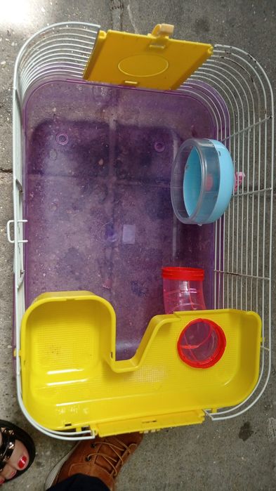 Gaiola roedores hamster