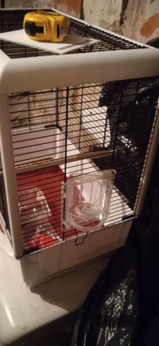 Super nowa klatka dla ptaków