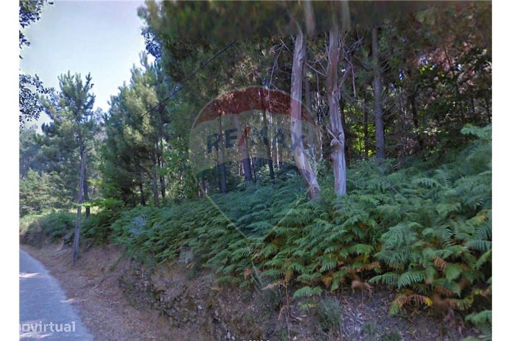 Terreno  para venda