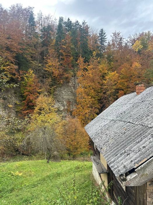 Продається земельна ділянка в Карпатах с.Виженка