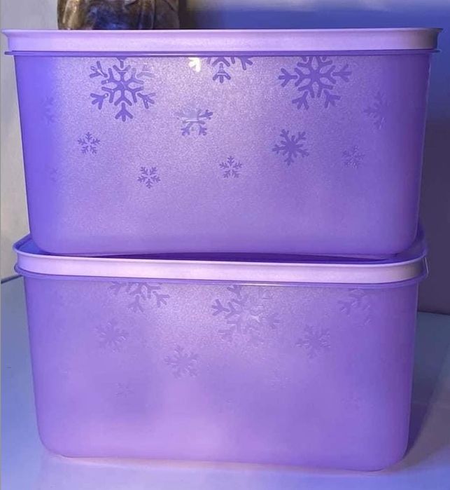 2 Caixas de Congelação 2.5L Tupperware