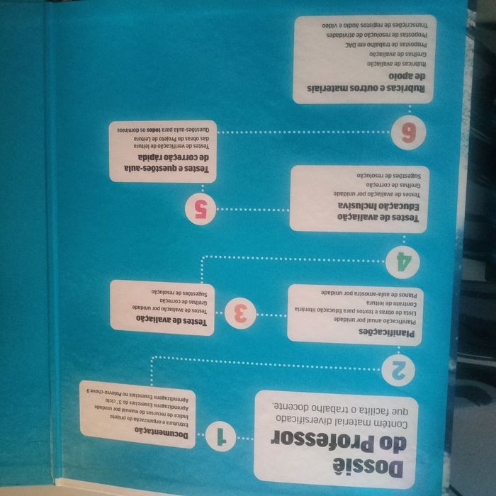 Manual e caderno de atividades de português 9⁰ ano