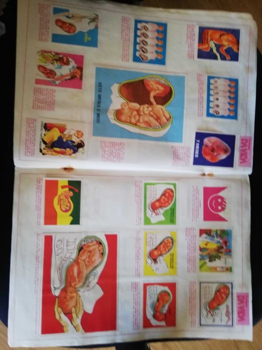 Caderneta A Origem da Vida