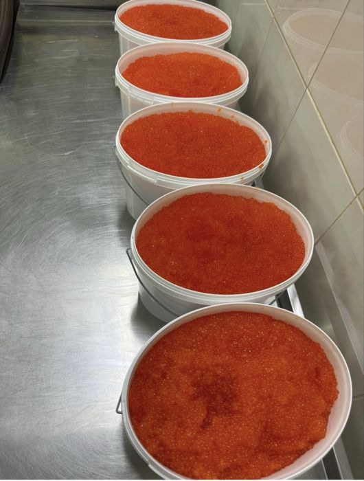 Риба плотва тарань гурт і роздріб