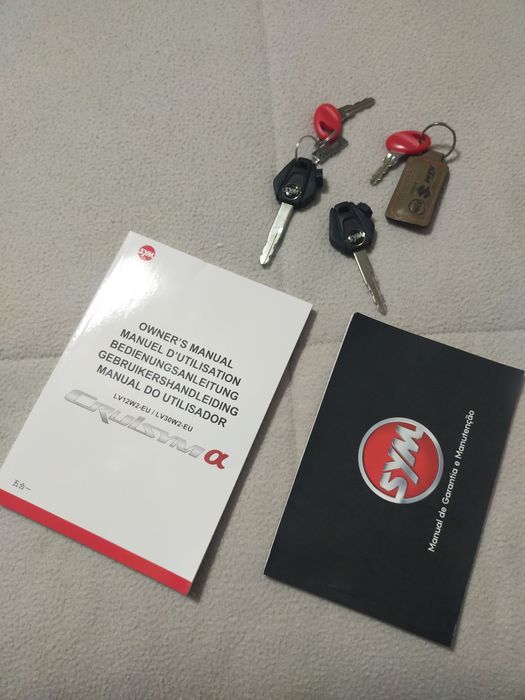 Sym Cruisym Alpha 300