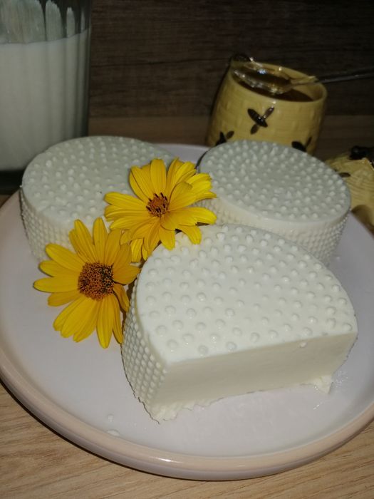 Mleko kozie i sery podpuszczkowe