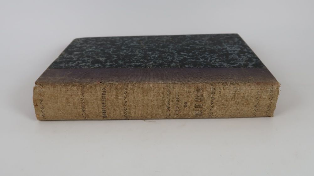 Os Filhos de Ignez de Castro: Romance Historico (1905)