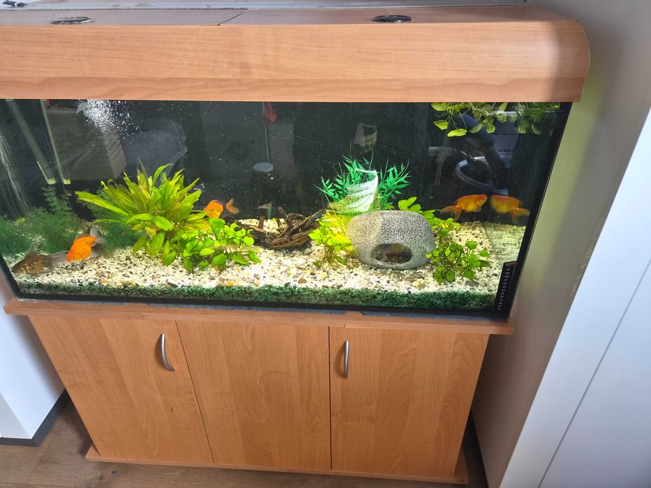 Akwarium kompletne 180 l bez obsady