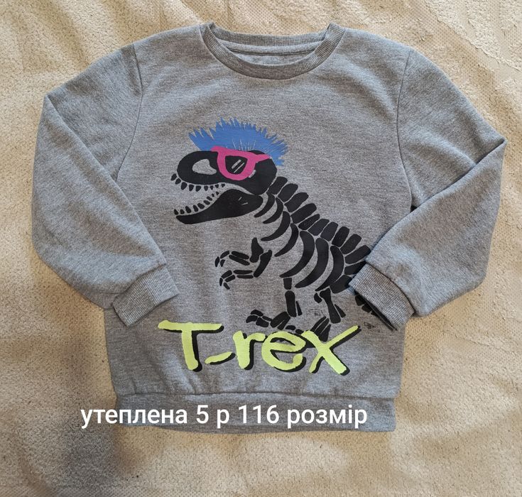 Світшот на хлопчика