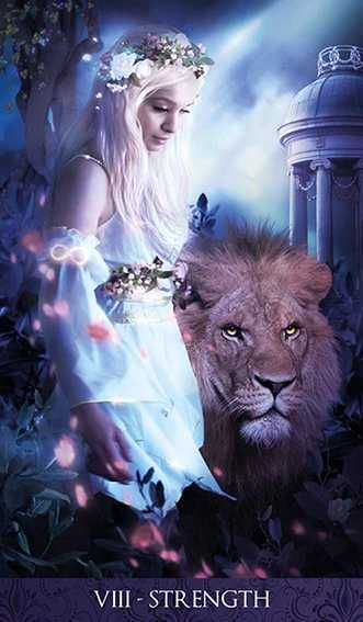 Tarot of the Night64730071362178123