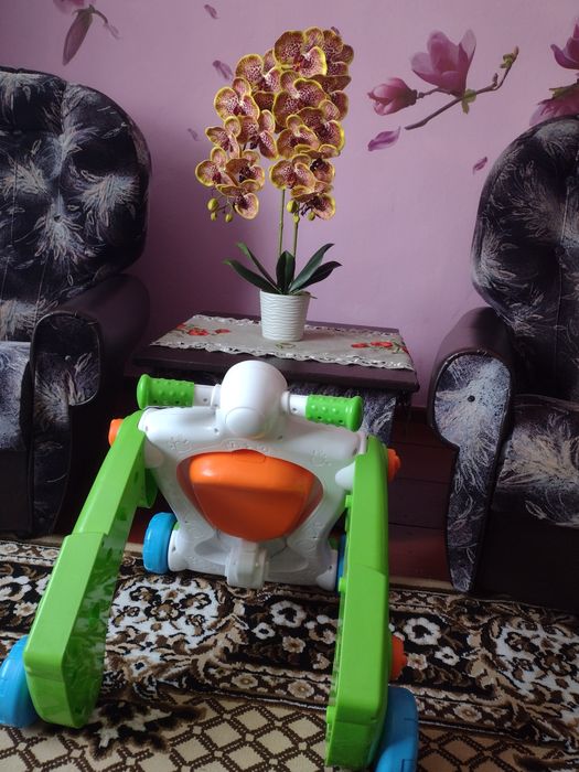 Ходунки - штовхачі