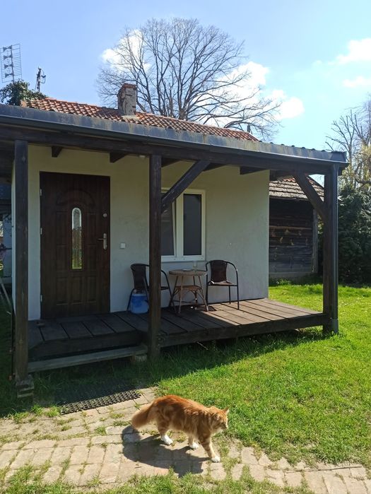 Noclegi na Wyspie Sobieszewskiej, domek, apartament, pokoje.