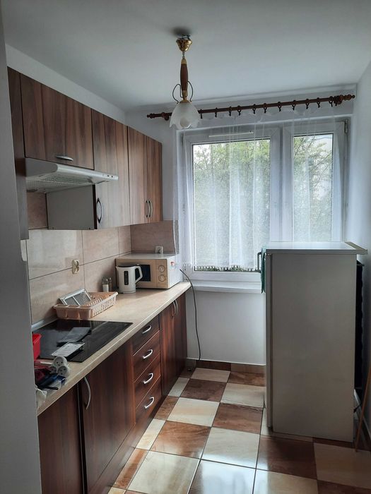 Mieszkanie do wynajęcia, 2 pokoje, Krowodrza
