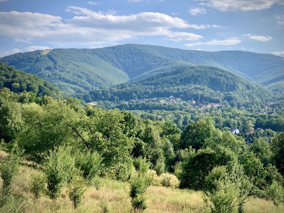 Nocleg /Ustroń ceteum/ Nad Młynówką / pokoje