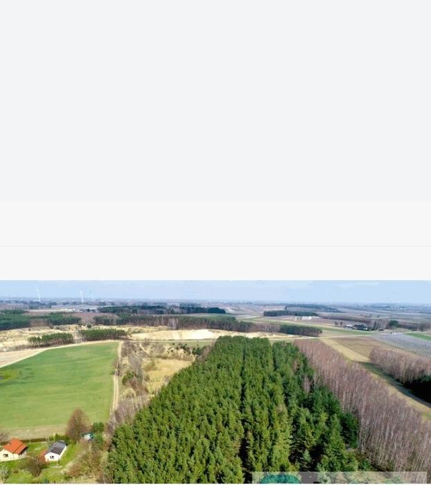 Działka leśna, las