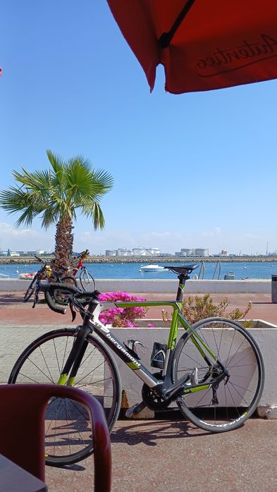 Bicicleta carbono bergamont