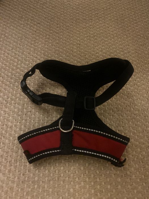 Peitoral Puppia novo - cão raça pequena