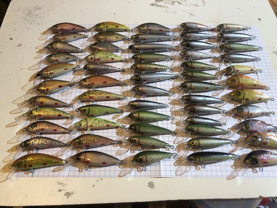 Woblery kleniowo-pstrągowo - okoniowe