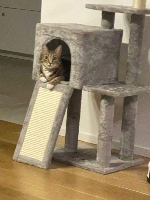 Drapak legowisko domek wysoki dla kota słupek do drapania NOWY 118 cm