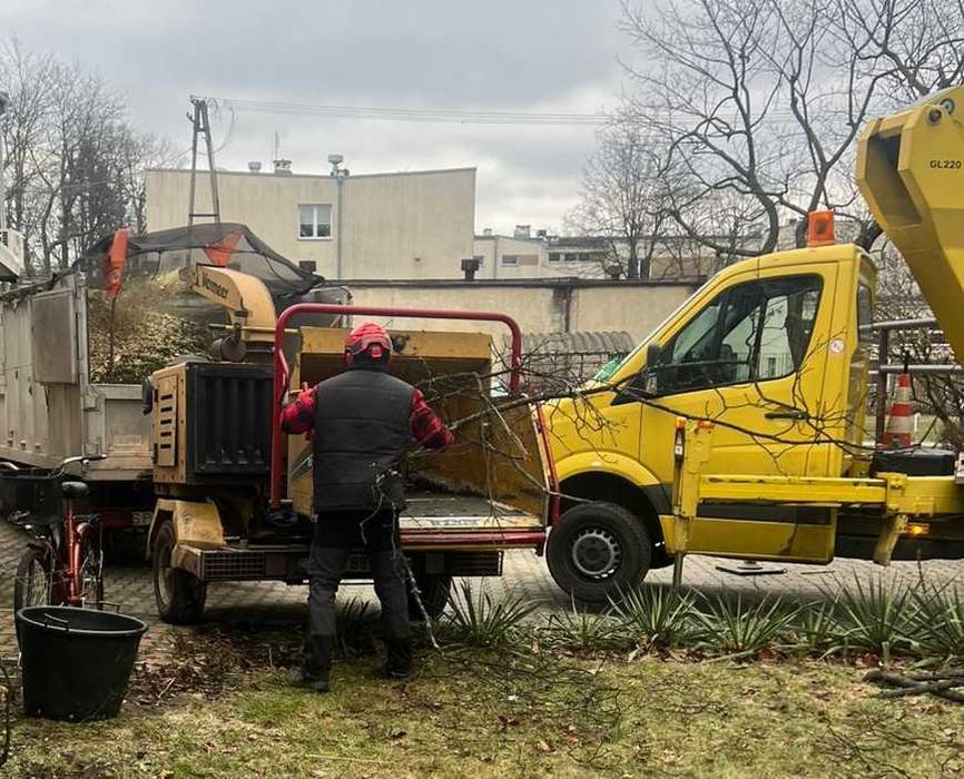 Wycinka i przycinanie drzew Tarczyn | Frezowanie pni