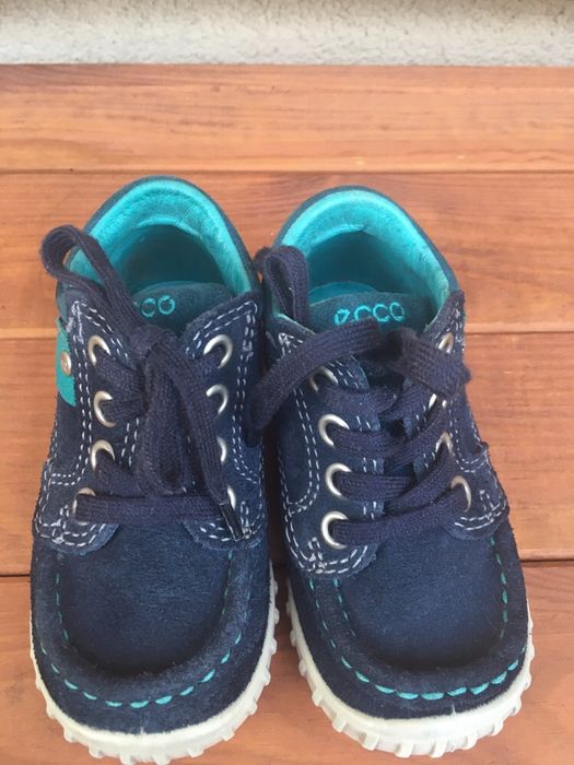 Ecco first light 21
