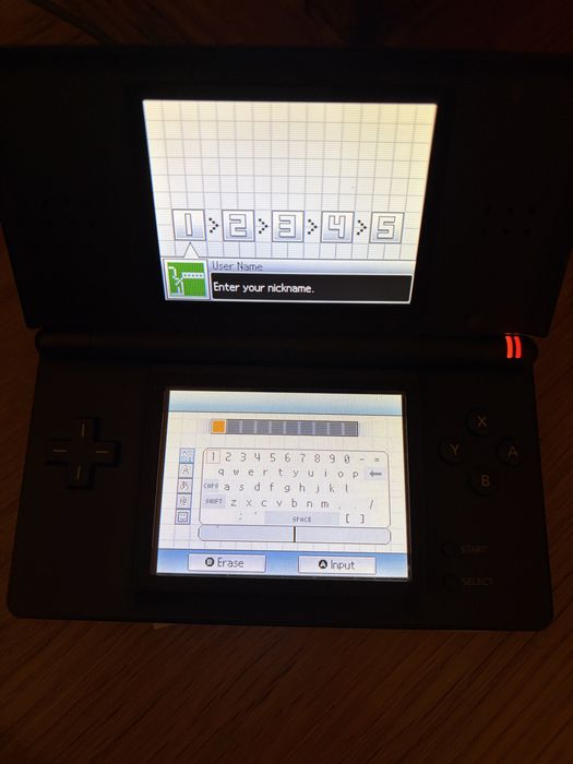 Nintendo DS lite