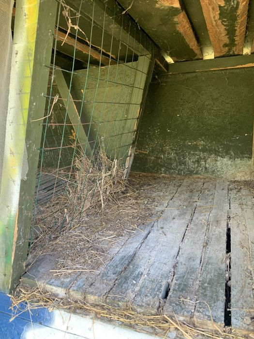 Продам клітки для кроликів