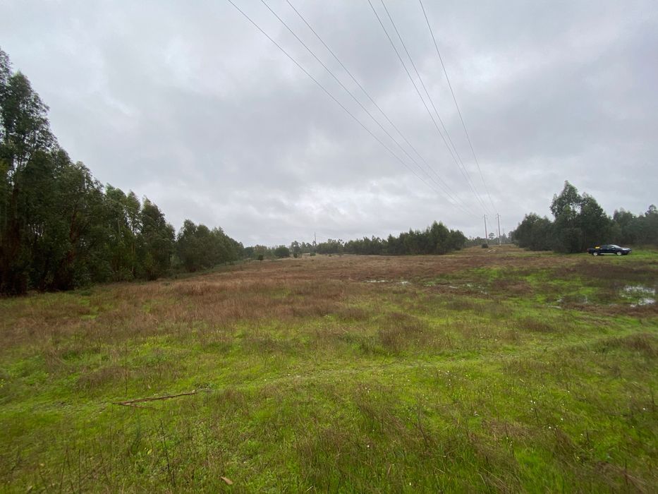 Terreno 19640m2 Marinhais (Salvaterra)