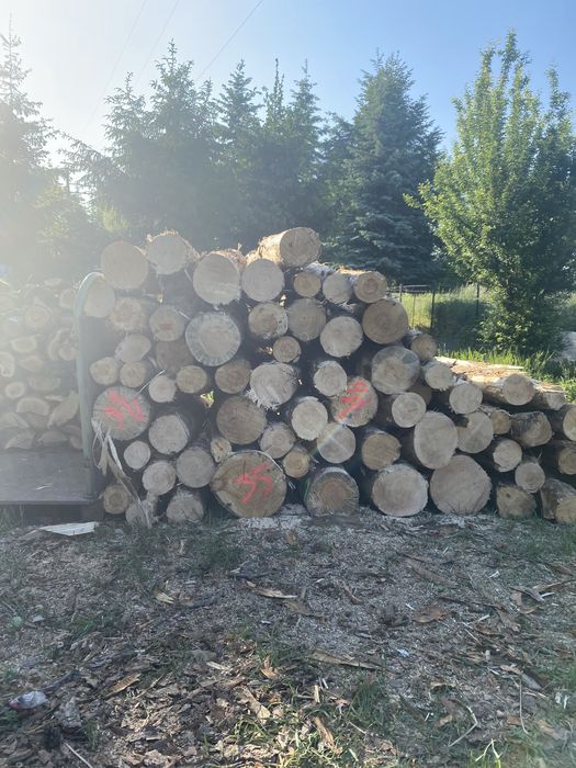 Sprzedaż drewna opałowego liściaste