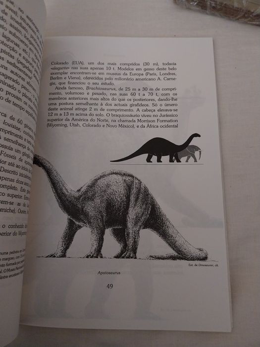 Vida e Morte dos Dinossáurios – Gradiva
