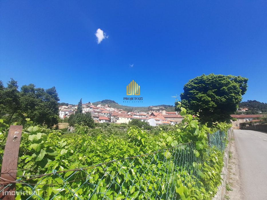 Flat Plot of 21,500 m² in the Douro Wine Region — Ideal for Tourism.
