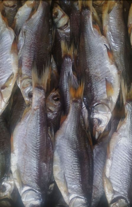 Тарань Плотва з ікрою
В наявності є раки.