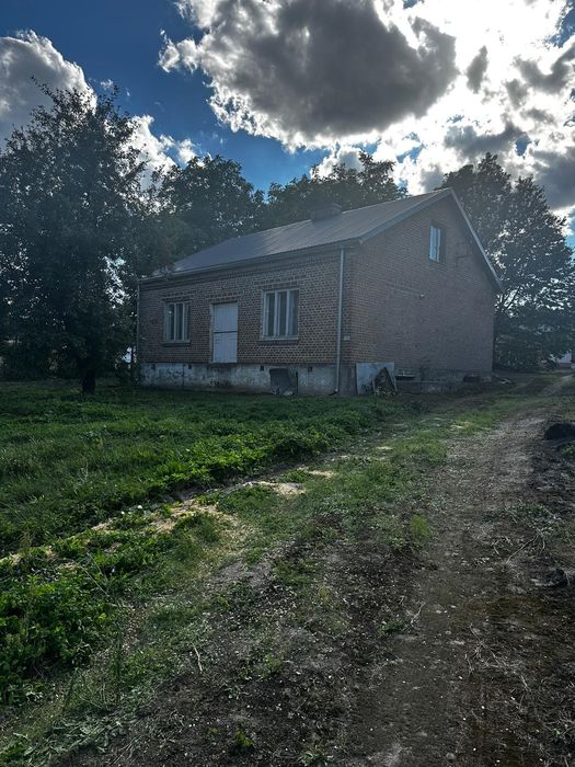Siedlisko w zakrzówku