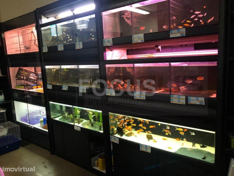 Loja de Animais / Florista / Decoração - Trespasse