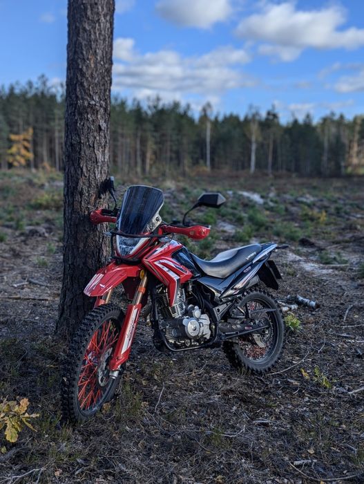 Viper v250l 24 рік