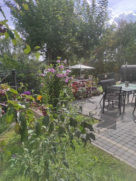 wynajem domku nad jeziorem z plażą i pomostem