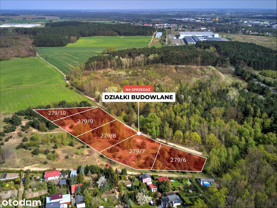 9943 m² z MPZP (20%) - idealna dla inwestora / developera. Przy lesie. - Widok 2