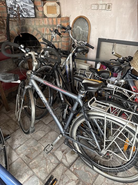 Rower holenderski Gazelle Giant Kuga