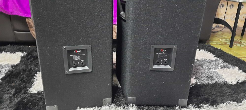 LIVE L12 - Coluna Passiva (300W/Peak) - NOVA Só 1 Unidade