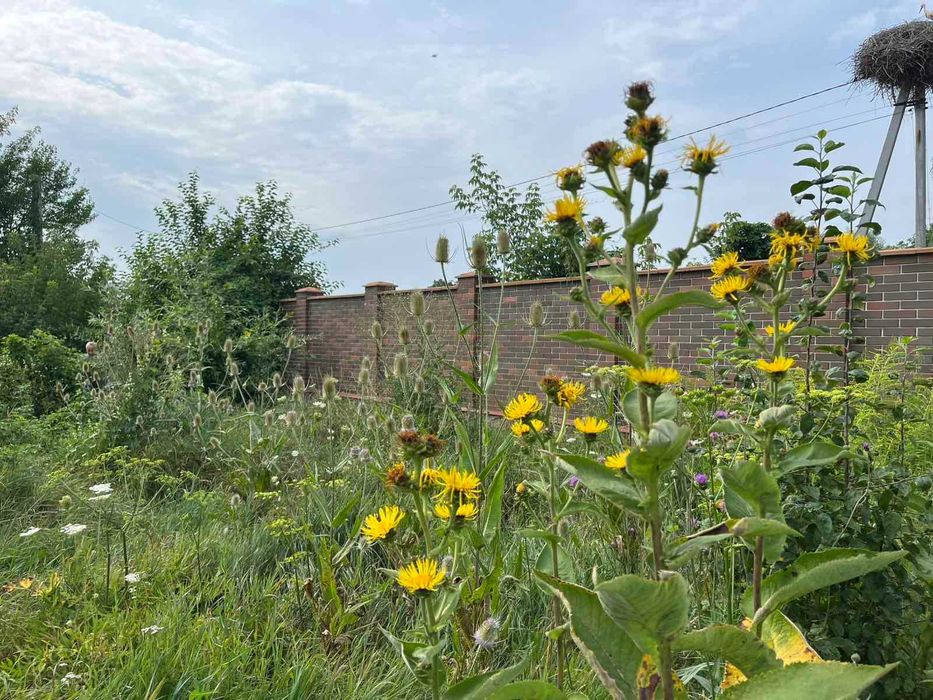 Продаж ділянку під забудову Підгірці