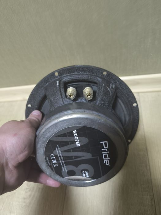 Динаміки Pride W8