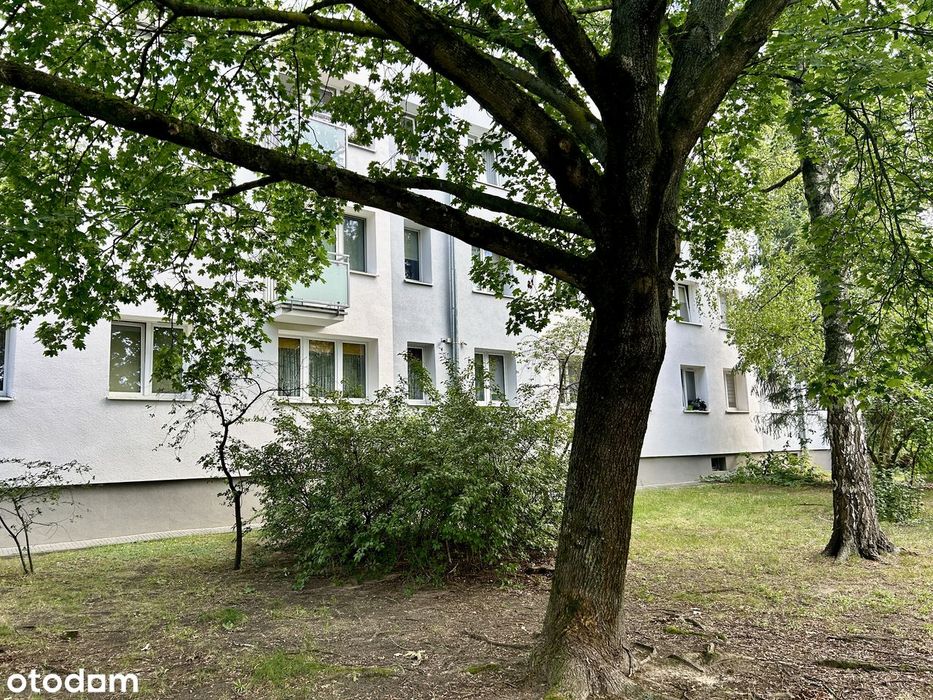 2 pokoje na Sadybie | Balkon | Piwnica | Zieleń | parking pod blokiem