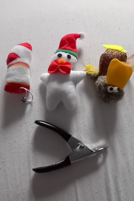 Obcinacz do pazurów i zabawki dla kota