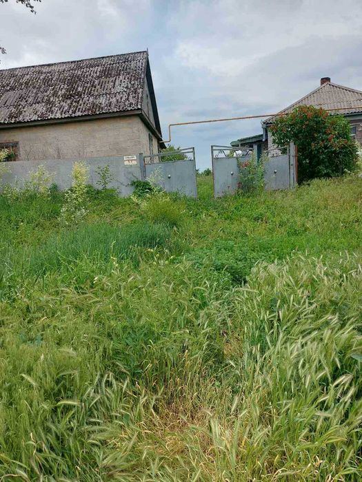 Продаж будинку з земельною ділянкою в смт. Градижск