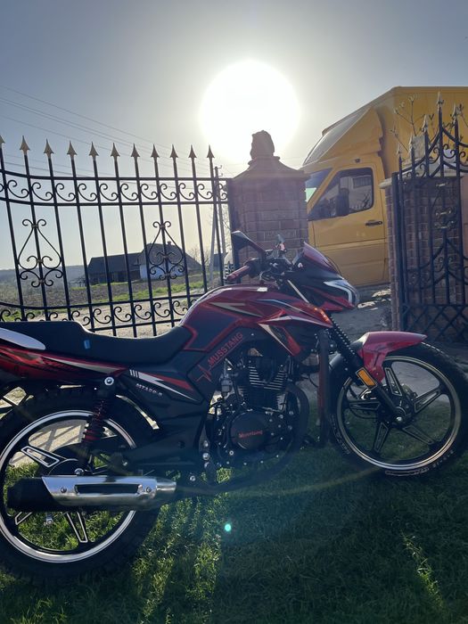 Мустанг регіон фортуна 150