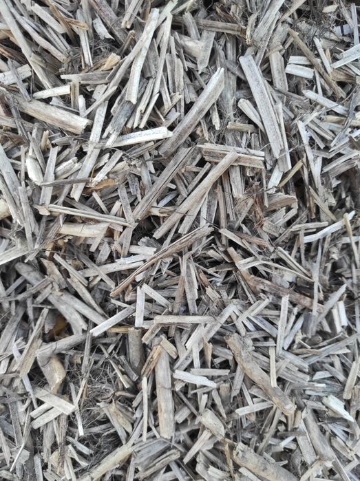 Костра конопель та льону