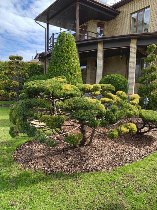Ландшафт, благоустрій та и озеленення Вашої ділянки,зробимо красу 2024